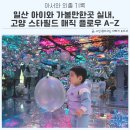 인터필드 | 일산 아이와 가볼만한곳 실내, 고양 스타필드 매직 플로우 A-Z