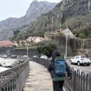 월드게임랜드 | D+60 | 페라스트 암굴의성모 + 코토르 요새 무료등반후기 | 코토르, 몬테네그로🇲🇪