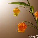 영국성공회 39개 신앙 조항(Thirty-Nine Articles) 이미지