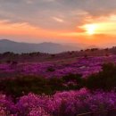 비슬산유스호스텔 이미지