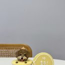 댕댕바게트 이미지