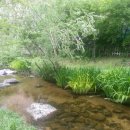 상동시민의강 이미지