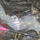 뉴환상민박 이미지