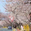 장군로-2 이미지