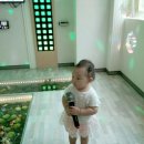 입큰개구리노래방 네이버블로그