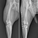 토닥토닥동물병원 이미지