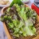 포항회센타 이미지