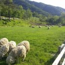 산기슭목장 이미지