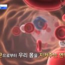 일죽스포렉스 이미지