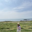 하나웰니스 주식회사 이미지