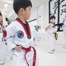 한국체대 인하북태권도장 이미지