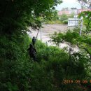 청림동로 이미지