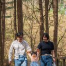 청태산휴양림 | 평창 아기랑 가볼만한곳 청태산 자연휴양림 데크길 산책 후기