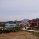 노안중학교 이미지