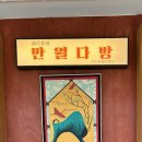 미래다방 - 안산시 단원구 대부중앙로 90 | [마포/한강동] 한강 데이트 치트키, 로맨틱한 감성의 끝판왕 만월다방 한강점 후기