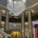 시노래 페스티벌 | 🎨 2025 COLOR in MUSIC FESTIVAL 컬러 인 뮤직 페스티벌 후기