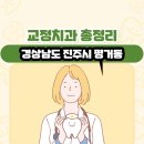 경상남도 진주시 평거동 교정치과 총정리