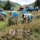 단양축산업협동조합소백산관광목장