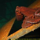 수산목장 이미지