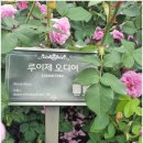 곡성-183 이미지