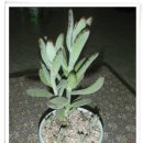 또밥하우스 이미지