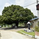 연하2리마을회관 이미지