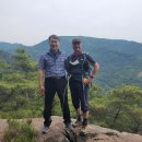 창환농장 Daum카페
