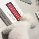 미니주동물병원 | [공지] 병원에서도 쓰는 슬개골·관절 홈케어기기,펫큐어레이 커버큐 솔직 후기