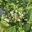 하은농장 이미지