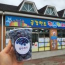 금강랜드 키즈카페 이미지