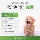괴산동물병원 이미지