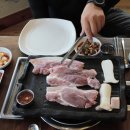 돼지의유혹 이미지