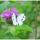 수성랜드 이미지