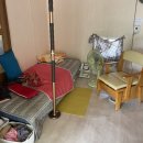 참사랑의료기 이미지