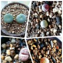 모두자리 이미지