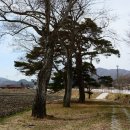 천천면광산마을 이미지