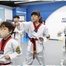 브레인태권도 이미지