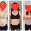 조은운동 이미지