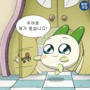 (5) 대구 동성로 교동맛집 모음.zip - 해랑사, 경탄성 (내돈내산)