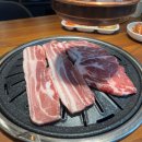 고기싸롱구리 이미지