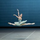 발레리나 이미지