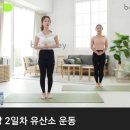 바디키마이핏 운동: 2일차 이미지