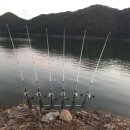 대물장어 이미지