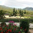 산골백두 이미지