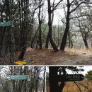 팔공산녹색길 숲길 2코스 티스토리