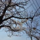 마장갈비 | [경기 파주] 단체모임 고기 문산 맛집 마장돈백갈비 방문 후기