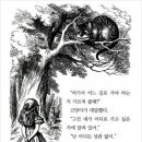 앨리스캣(Alice CAT) 이미지