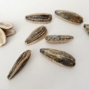 청춘식품 이미지