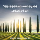 * 5윌 11일. 목동 ＜푸른나무교회＞ 주일 예배 - 조태성 이미지