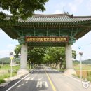 도리사 - 1026 | 도리사